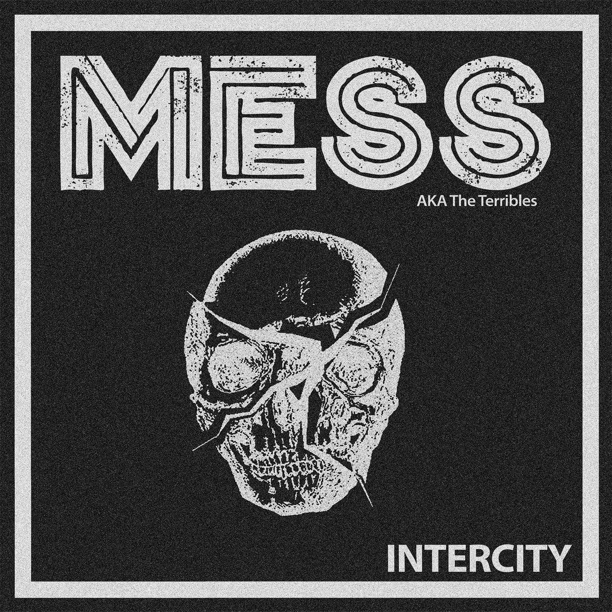 A black and white graphic showcases the brand name Mess in bold at the top, AKA The Terribles in smaller text nearby, a cracked skull illustration in the center, and streetpunk-themed INTERCITY at the bottom.