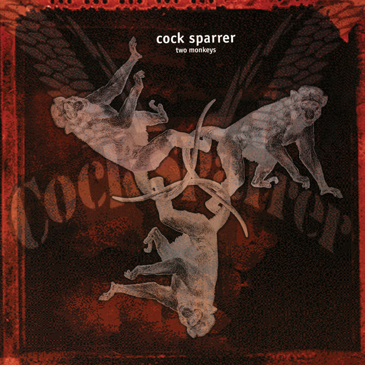 Three hand-drawn monkeys form a circular pattern on a textured, dark red background. The text Cock Sparrer appears at the top, reflecting the brands punk rock influence.