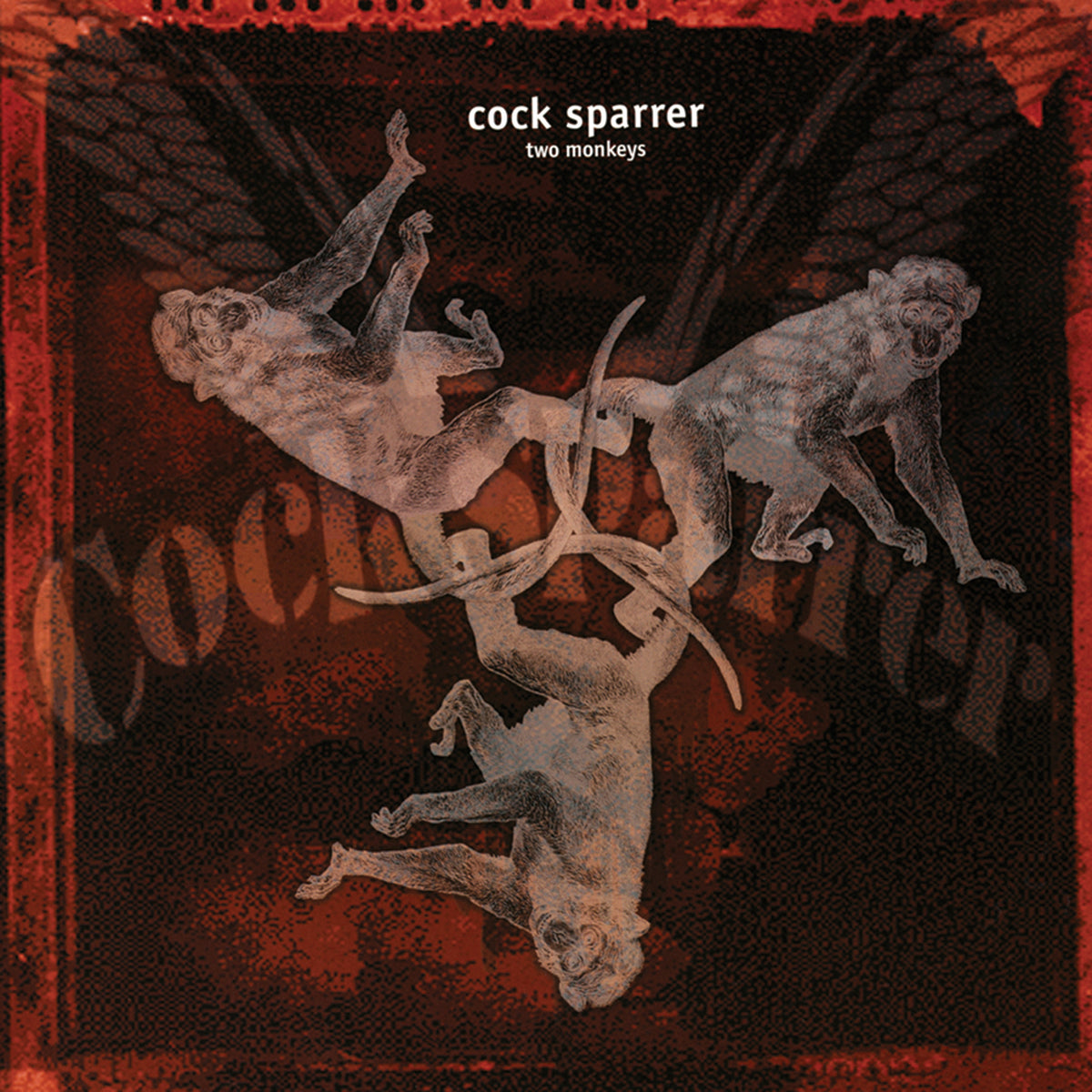 Album cover for Cock Sparrer’s Two Monkeys features three illustrated monkeys arranged in a circle on a dark reddish background with punk rock vibes, subtle wing accents, and detailed text. Brand Name: Cock Sparrer.