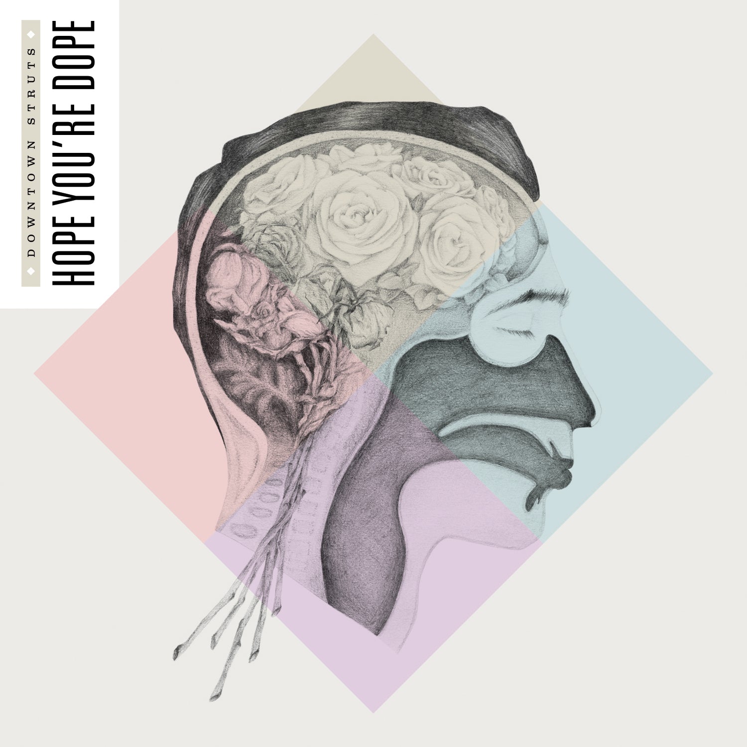 A grayscale anatomical profile of a human head with blooming roses as the brain, set against pastel diamonds. Features the text celebrating Downtown Struts’ new musical direction: Hope You’re Dope.