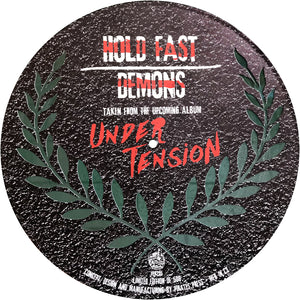 The Drowns - Hold Fast Demons - 12'' Single